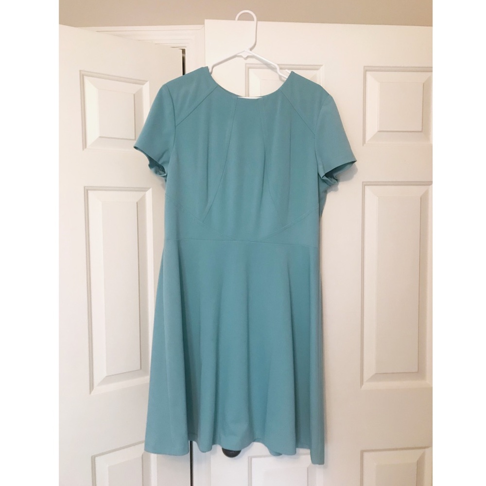 Tahari Arthur Levine Dress